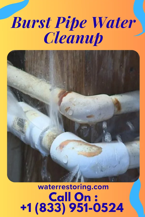 Burst Pipe Water Cleanup in South Fork, PA