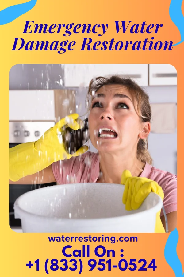 Emergency Water Damage Restoration in South Fork, PA