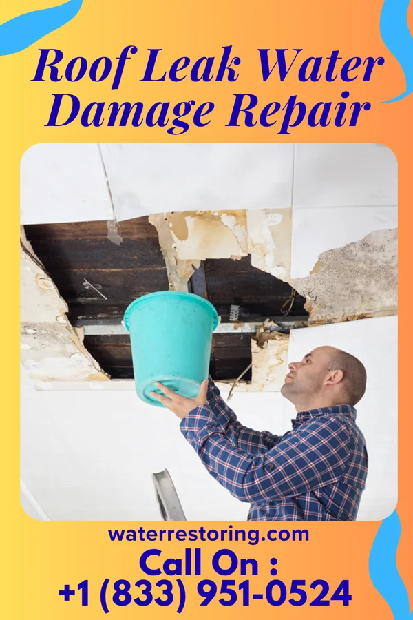 Roof Leak Water Damage Repair in South Fork, PA